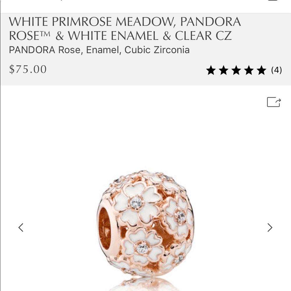 Pandora charm